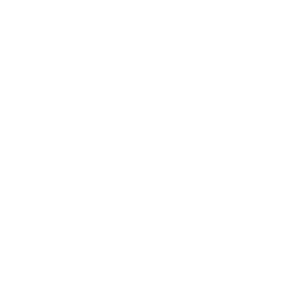 ankle foot bones graphic link to resources